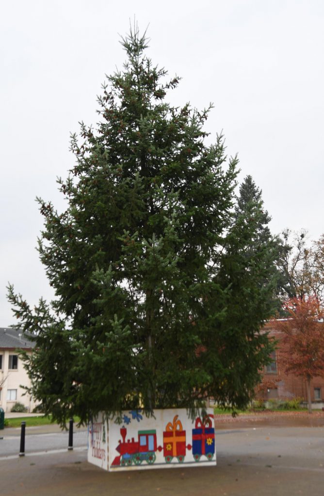 Newberg Noon Rotary Club Newsletter for December 5, 2018 Newberg Noon