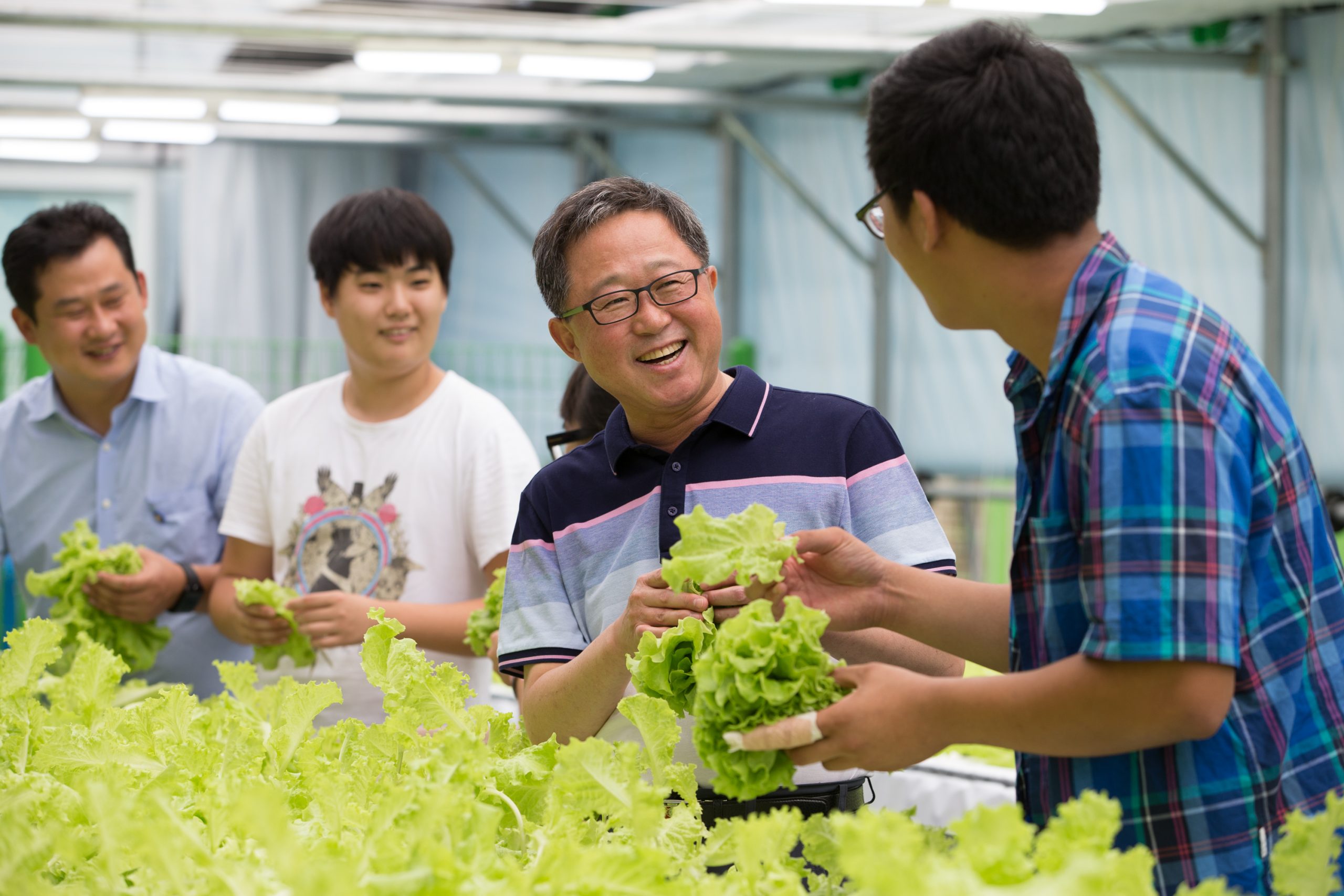 Rotarian laughing with three students while picking lettuce.